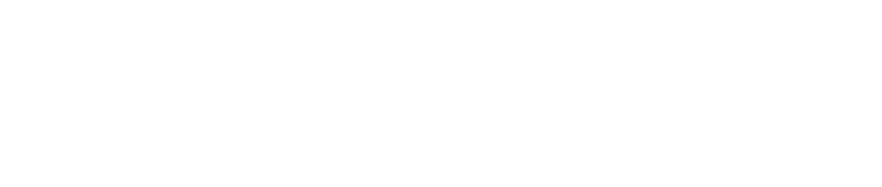2025 Diamond Sponsors